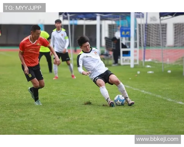 足球11人网助你掌握足球技巧与战术提升球技成就梦想球员之路